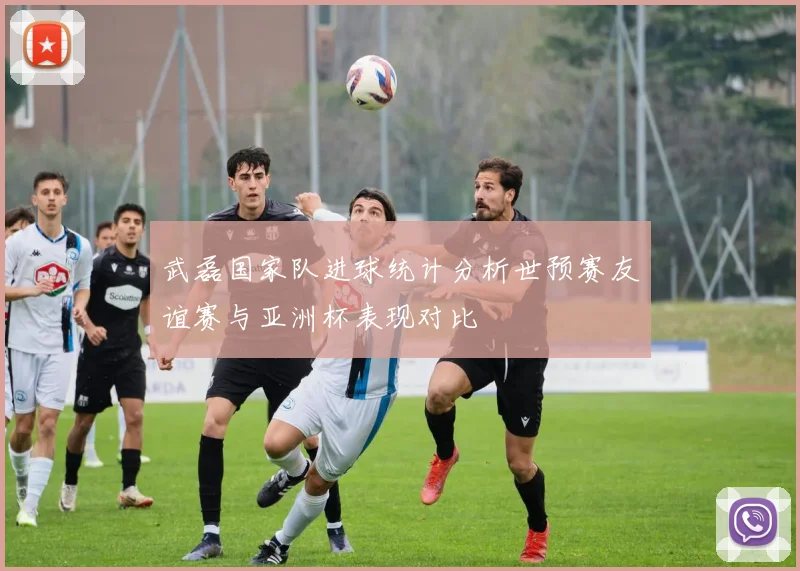 武磊国家队进球统计分析世预赛友谊赛与亚洲杯表现对比